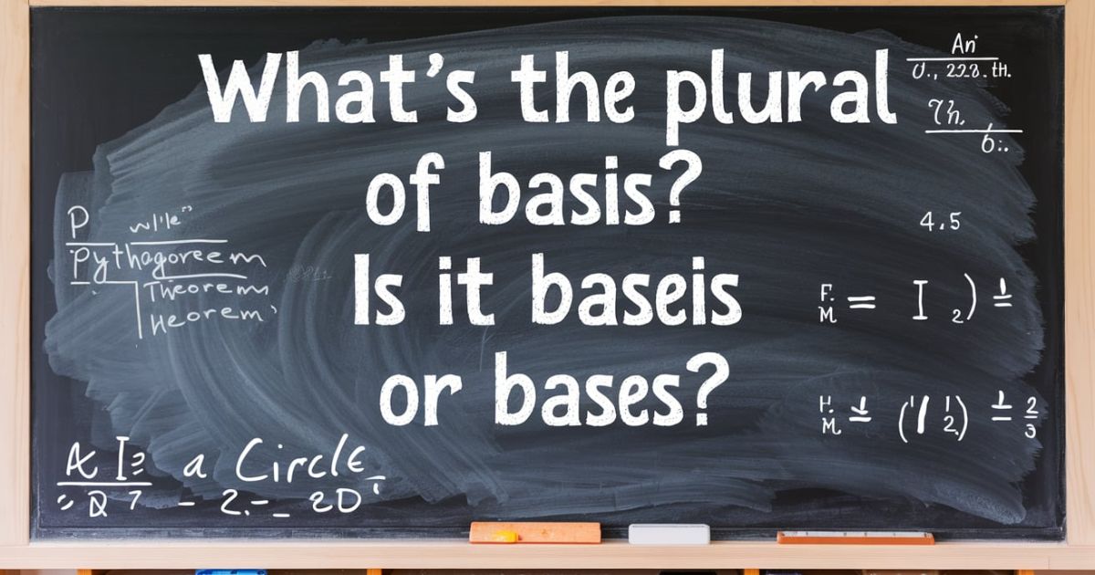 Plural of Basis