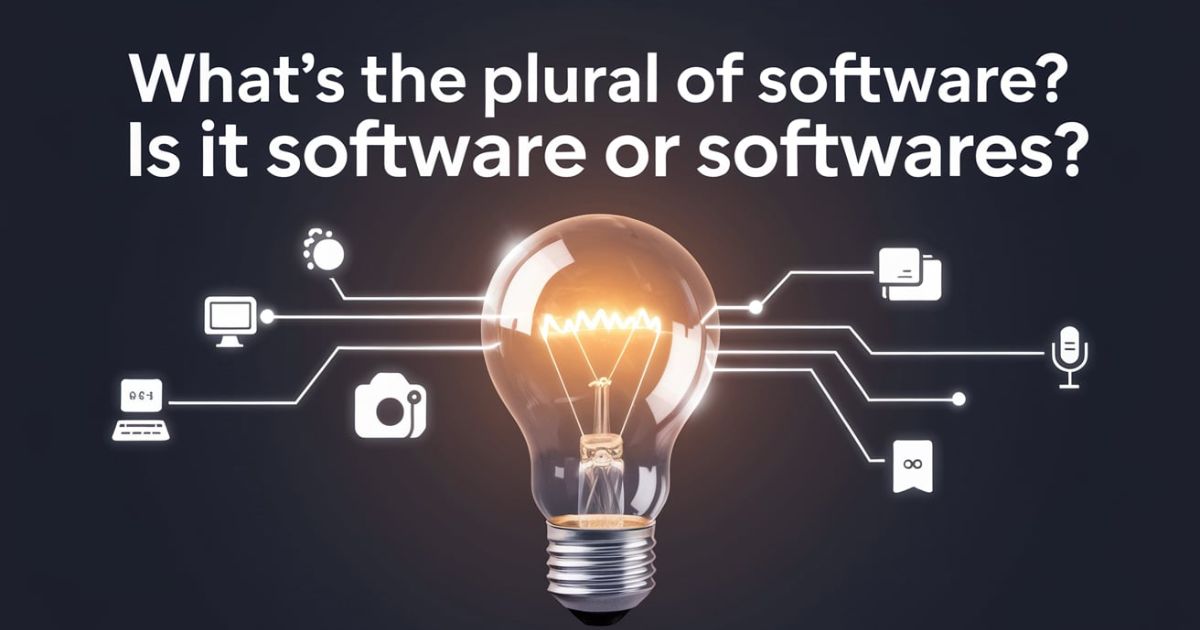 What’s the Plural of Software?